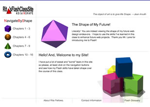 Flash Site Image